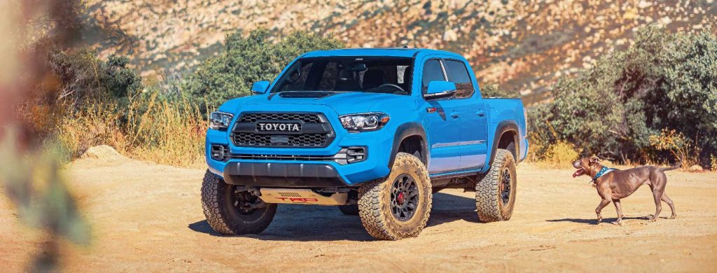 Off-Road Paint Protection: How to Protect Your 4WD From Scratches?